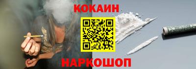 бошки Кингисепп