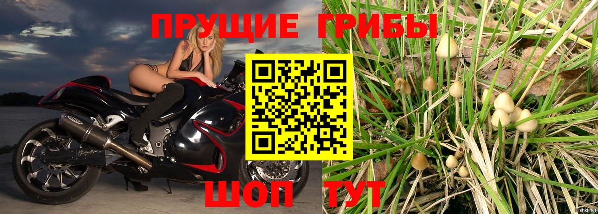 Галлюциногенные грибы прущие грибы  Вход с VPN  Буйнакск 